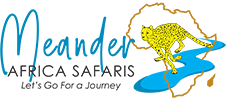 Meander Africa Safaris Logo